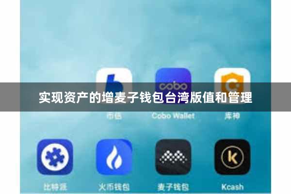 实现资产的增麦子钱包台湾版值和管理