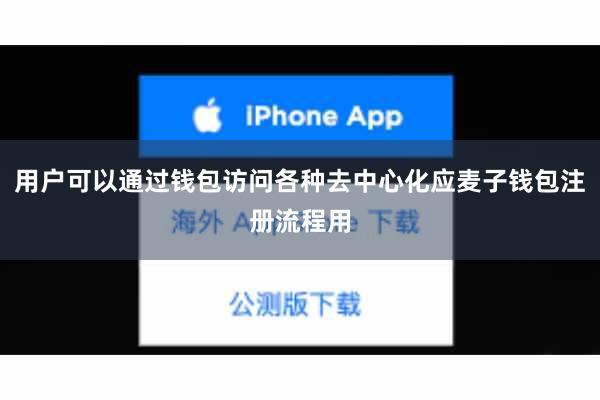 用户可以通过钱包访问各种去中心化应麦子钱包注册流程用
