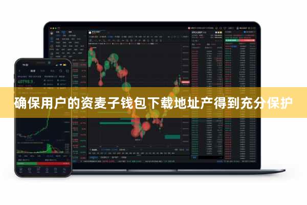 确保用户的资麦子钱包下载地址产得到充分保护