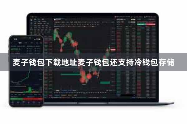 麦子钱包下载地址麦子钱包还支持冷钱包存储