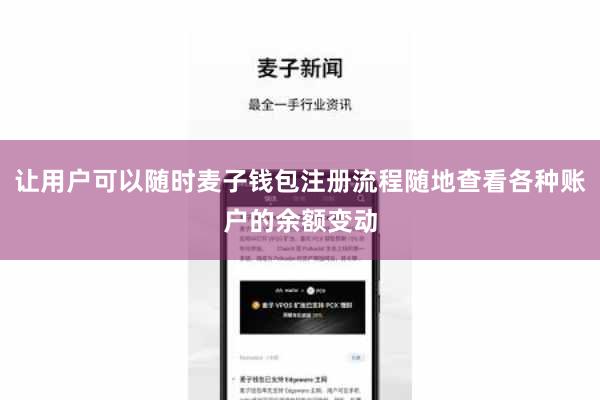 让用户可以随时麦子钱包注册流程随地查看各种账户的余额变动
