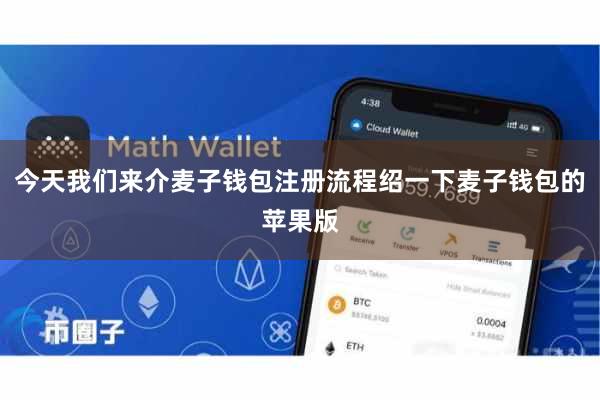 今天我们来介麦子钱包注册流程绍一下麦子钱包的苹果版