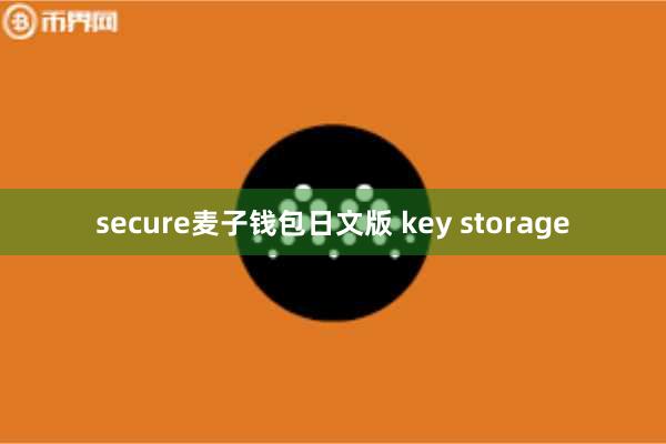 secure麦子钱包日文版 key storage