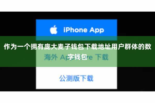 作为一个拥有庞大麦子钱包下载地址用户群体的数字钱包