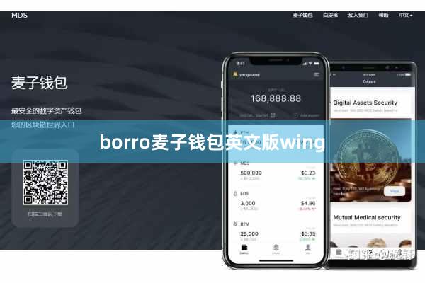 borro麦子钱包英文版wing