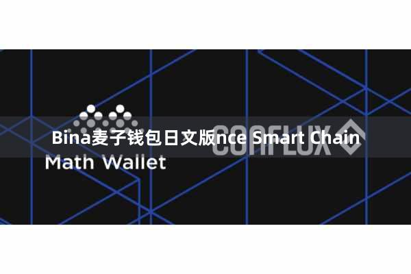 Bina麦子钱包日文版nce Smart Chain