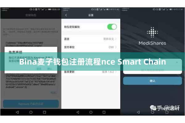 Bina麦子钱包注册流程nce Smart Chain