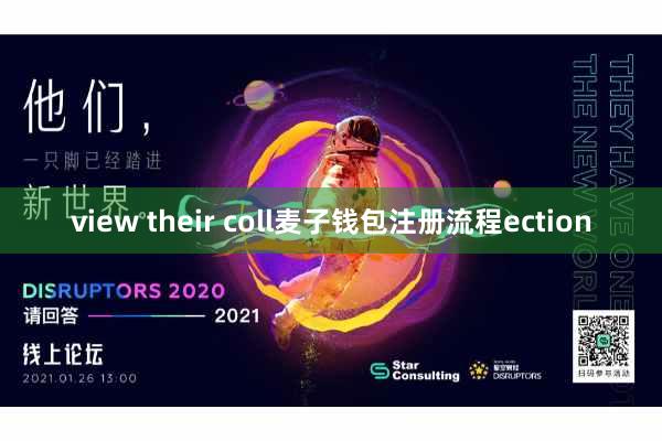 view their coll麦子钱包注册流程ection