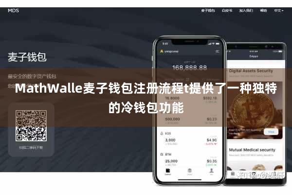 MathWalle麦子钱包注册流程t提供了一种独特的冷钱包功能