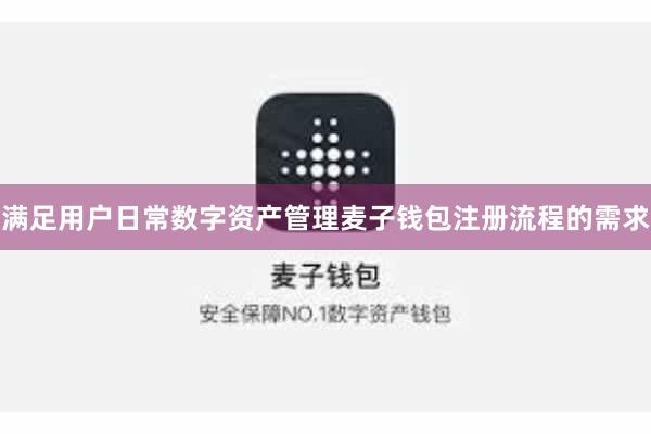 满足用户日常数字资产管理麦子钱包注册流程的需求