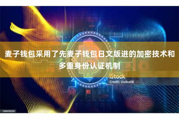 麦子钱包采用了先麦子钱包日文版进的加密技术和多重身份认证机制