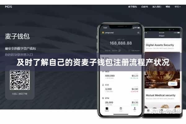 及时了解自己的资麦子钱包注册流程产状况