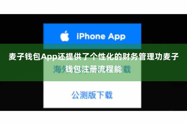 麦子钱包App还提供了个性化的财务管理功麦子钱包注册流程能