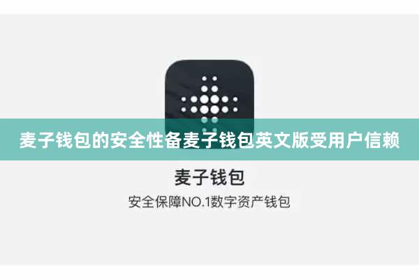 麦子钱包的安全性备麦子钱包英文版受用户信赖