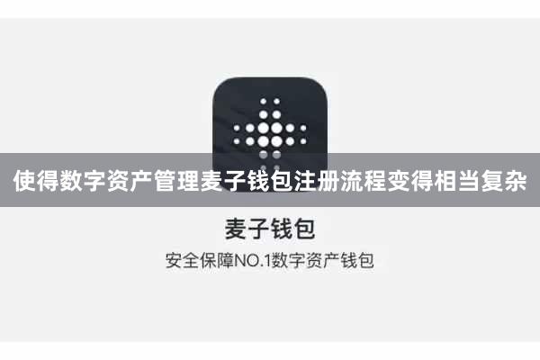 使得数字资产管理麦子钱包注册流程变得相当复杂