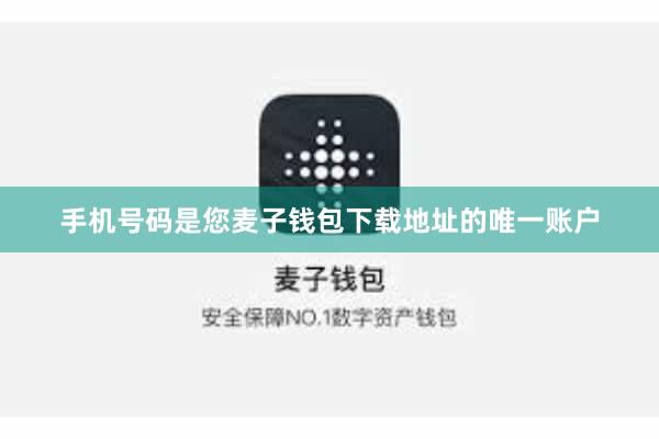 手机号码是您麦子钱包下载地址的唯一账户
