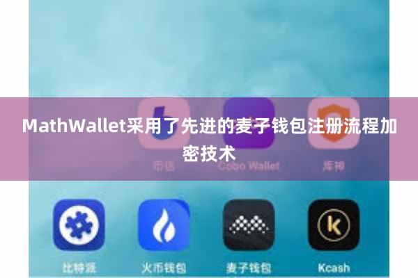 MathWallet采用了先进的麦子钱包注册流程加密技术